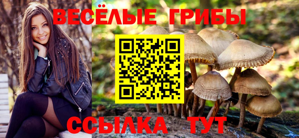 Галлюциногенные грибы Magic Shrooms  Вход с VPN  Галлюциногенные грибы мухоморы  Красногорск 